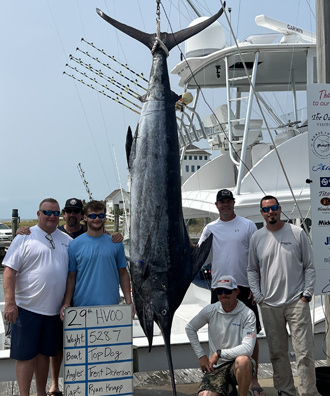 Top Dog - 528.7 lb. Blue Marlin from Day 2.