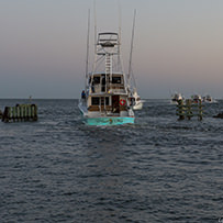 2021 Day 3 Morning - Hatteras Village Offshore Open