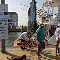 2023 Awards - Hatteras Village Offshore Open