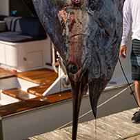 2023 Awards - Hatteras Village Offshore Open