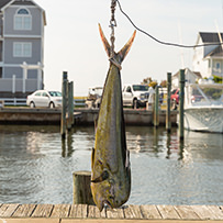2023 Awards - Hatteras Village Offshore Open
