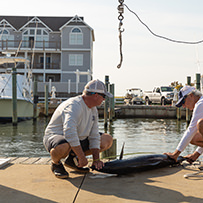 2023 Awards - Hatteras Village Offshore Open