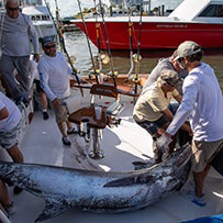 2024 Day 2 - Hatteras Village Offshore Open