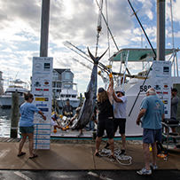 2024 Day 2 - Hatteras Village Offshore Open