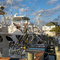 2024 Day 2 - Hatteras Village Offshore Open