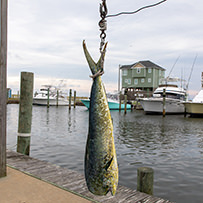 2024 Day 3 - Hatteras Village Offshore Open