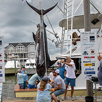 2024 Day 4 - Hatteras Village Offshore Open