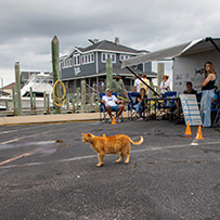 2024 Day 4 - Hatteras Village Offshore Open