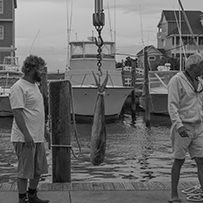 2018 Day 2 - Hatteras Village Offshore Open