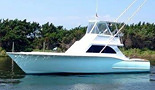 Calypso