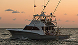 Sandra D